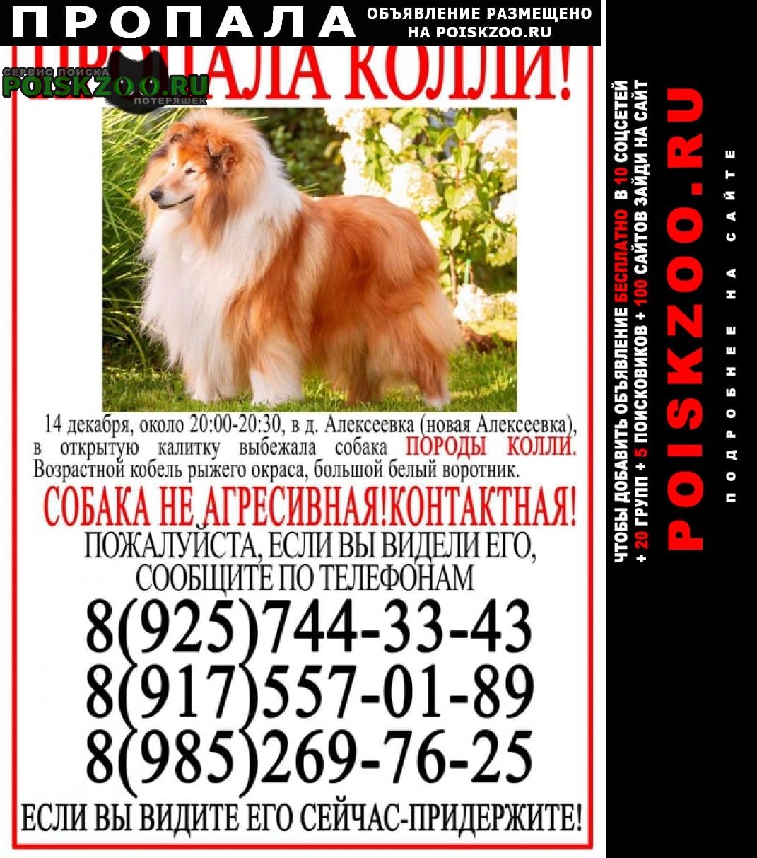 ���� ������� ������ ������ �����, ������, ����� �����