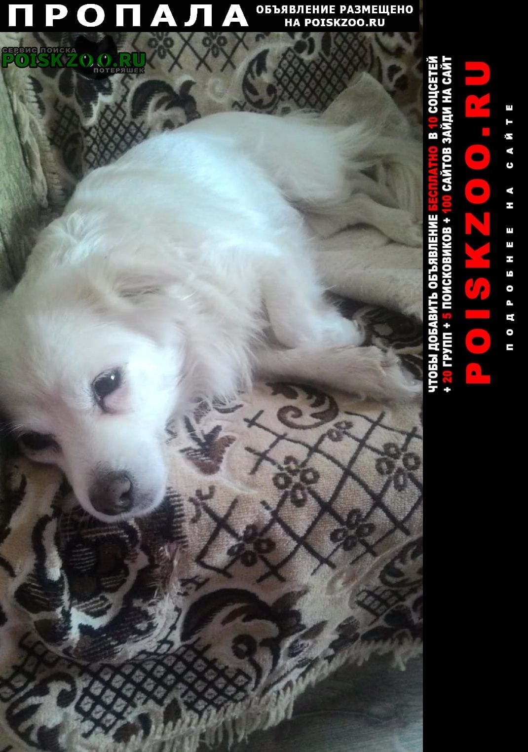 ���� ������� ������. ������� ������ ������ ����