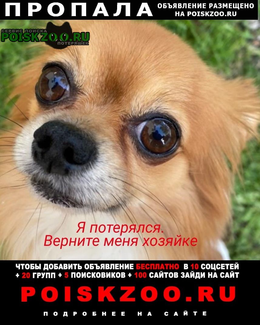 ���� ������� ������ ������ 1 ������ ������ � ������ �������