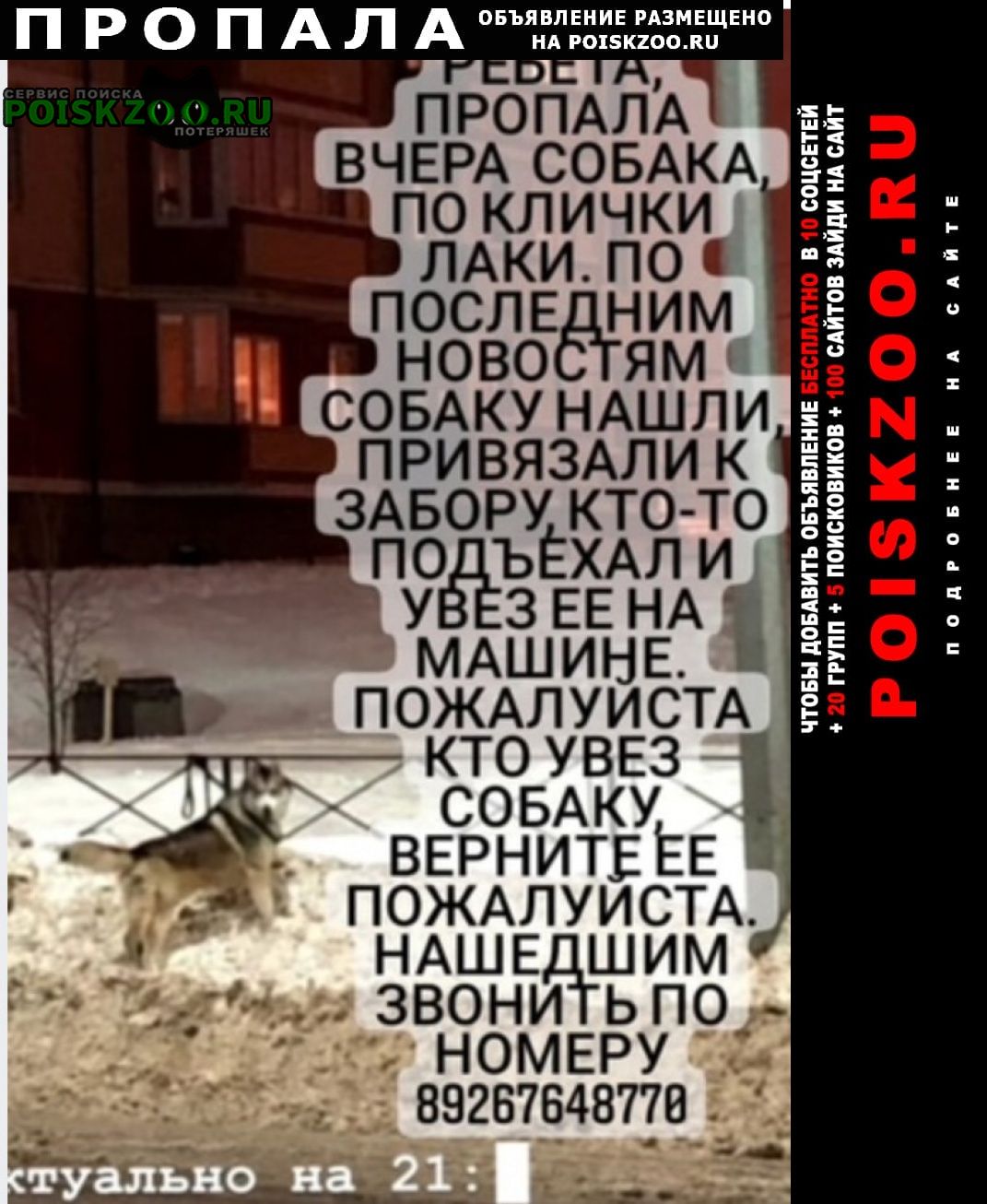 ���� ������� ������ ������ �������� ����� �����