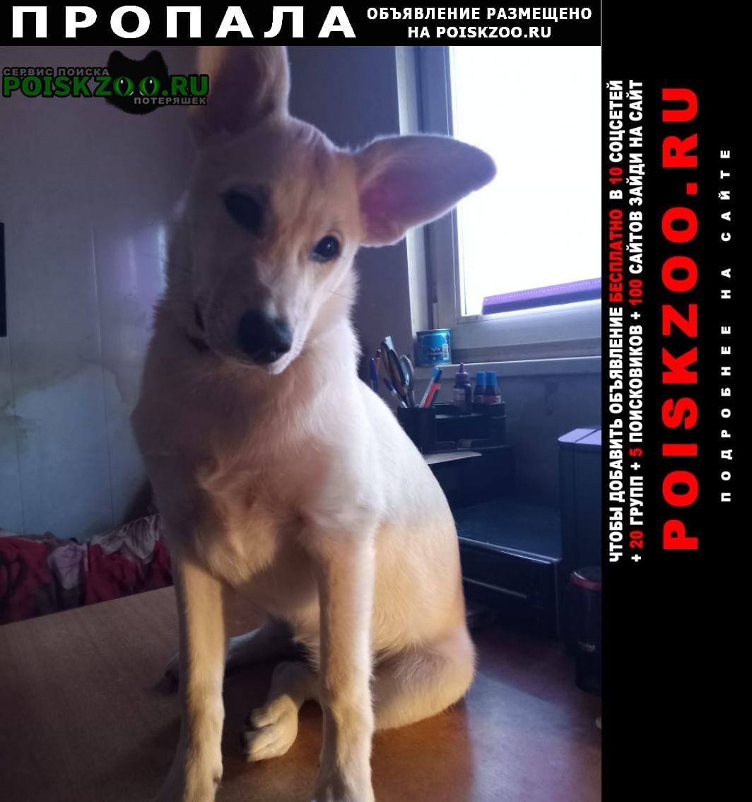 ���� ������� ������ �������