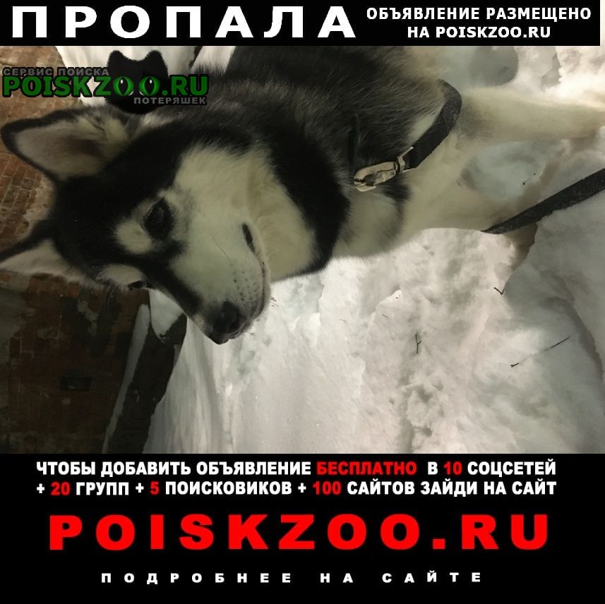 ���� ������� ������