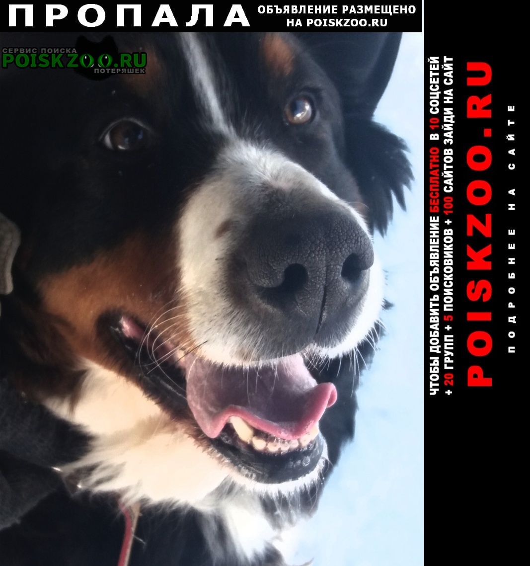 ���� ������� ������ ������ �������