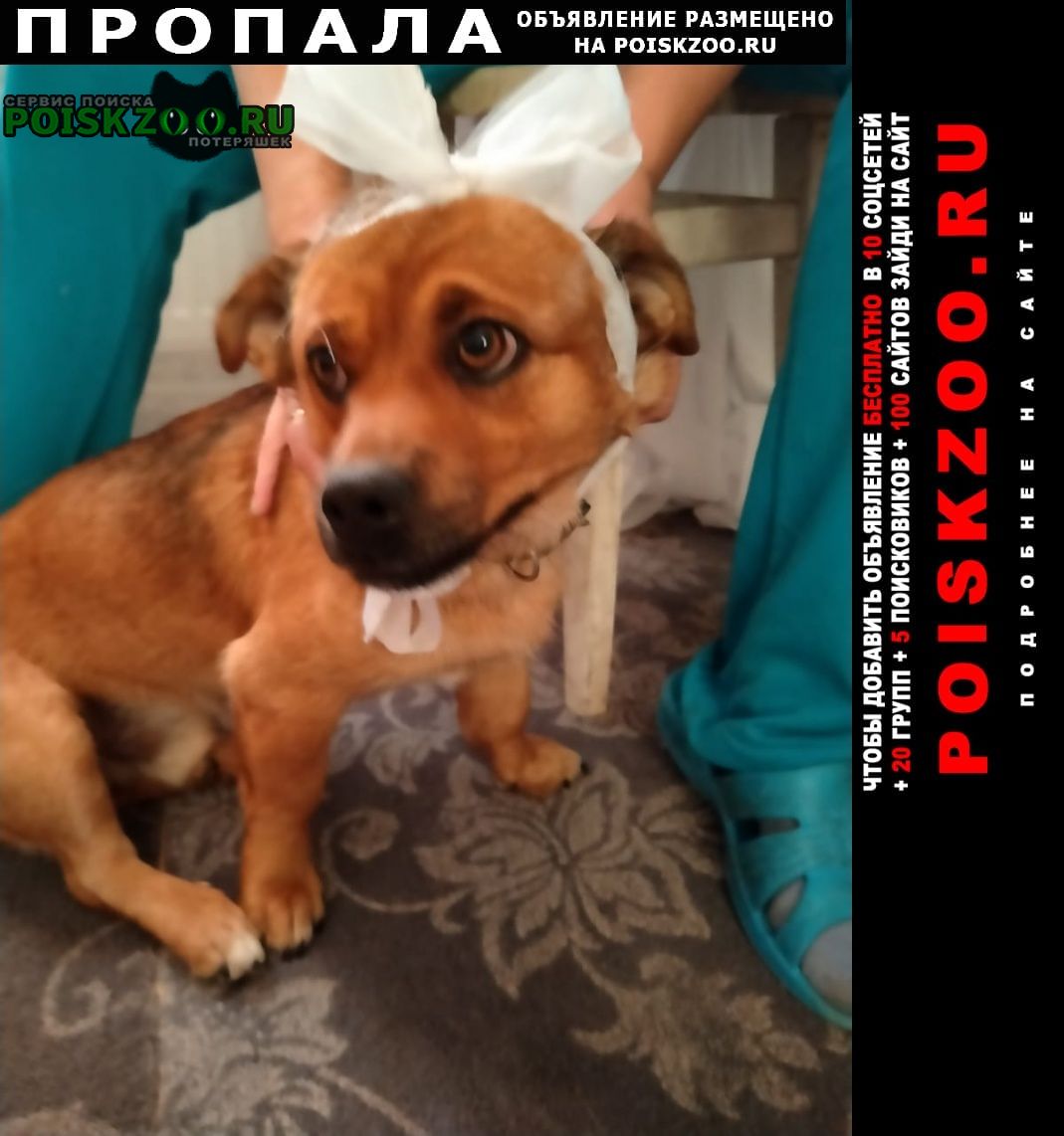 ���� ������� ������ ������ ��������