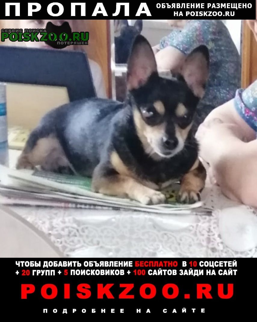 ���� ������� ������ ������ ��� ������ ����