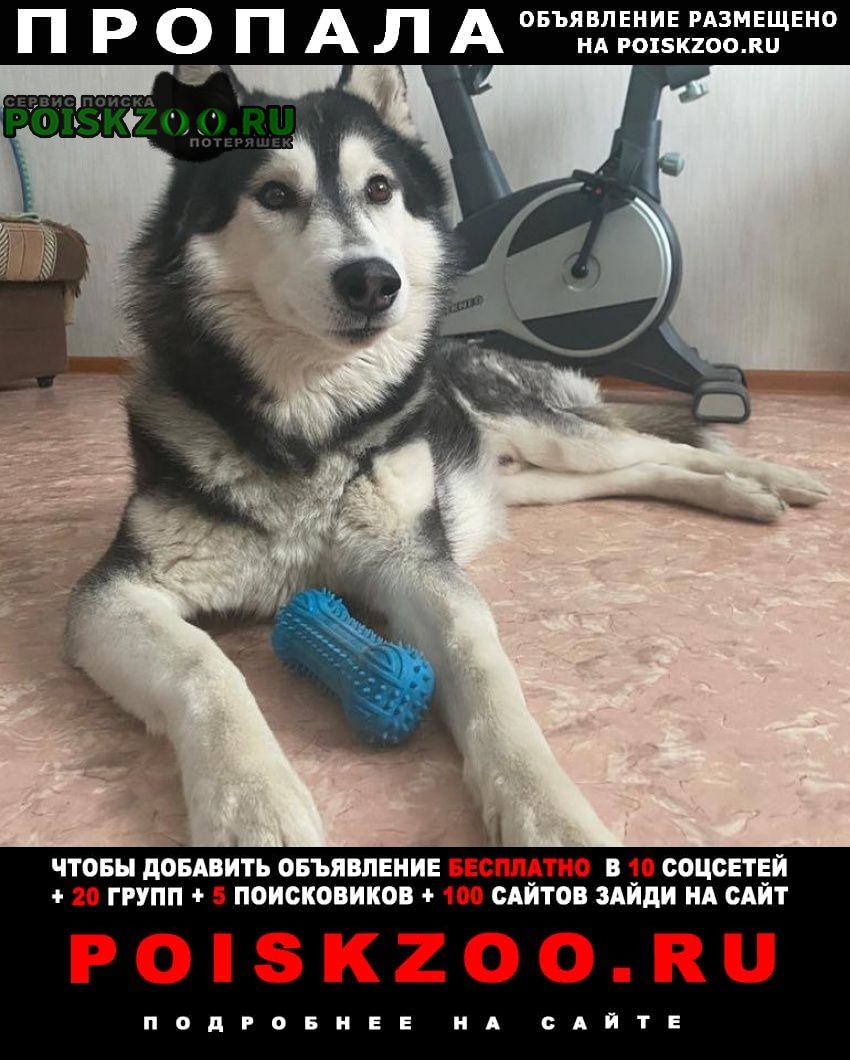 ���� ������� ������ ������ ��������� �����