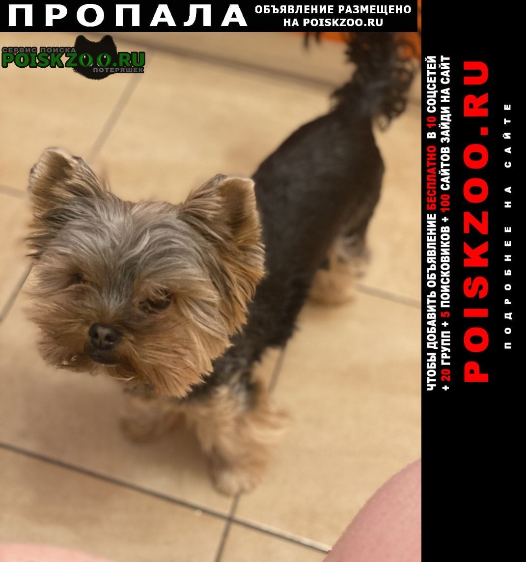 ���� ������� ������ ������