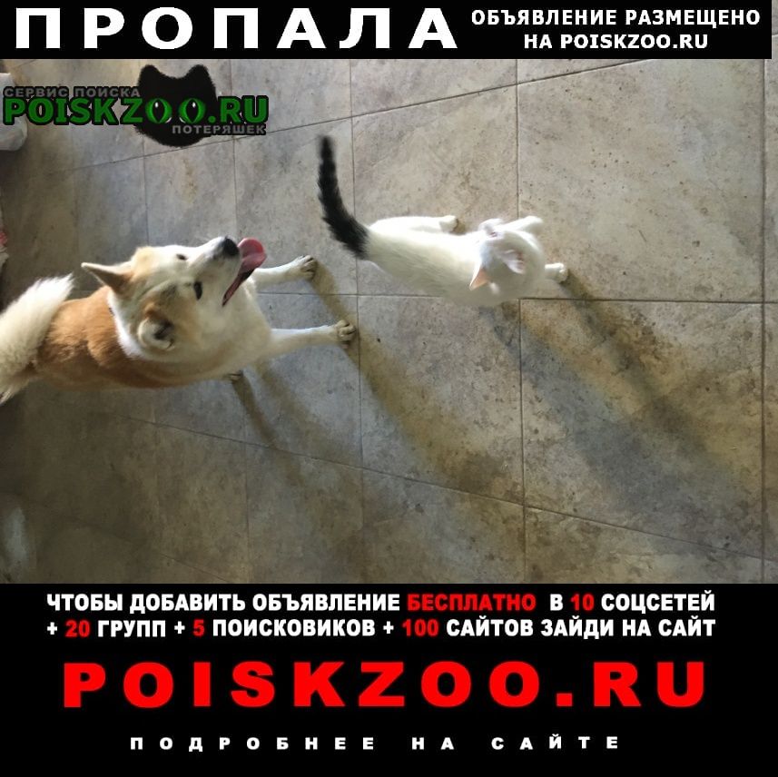 ���� ������� ������ ������ ����� ����. ������� ����