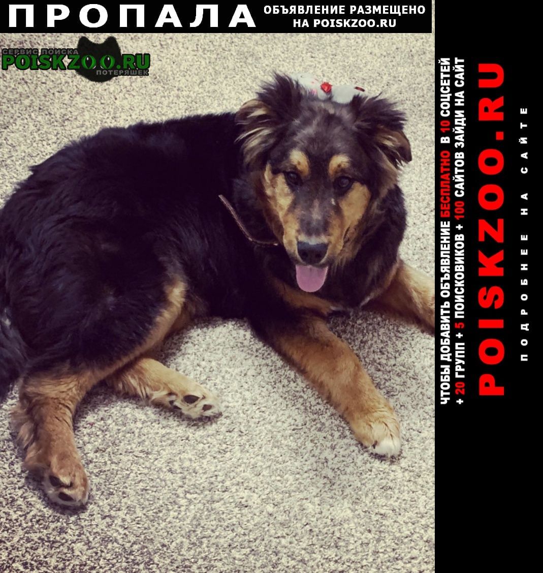 ���� ������� ������ ������ ������� �� ��������������