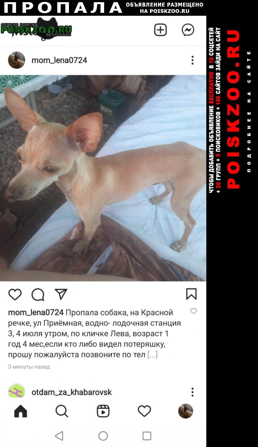 ���� ������� ������ ������ ������� ��� ����