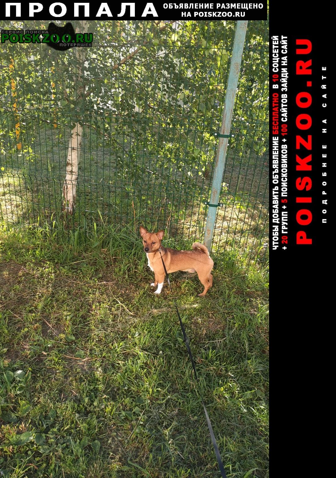 ���� ������� ������ ������