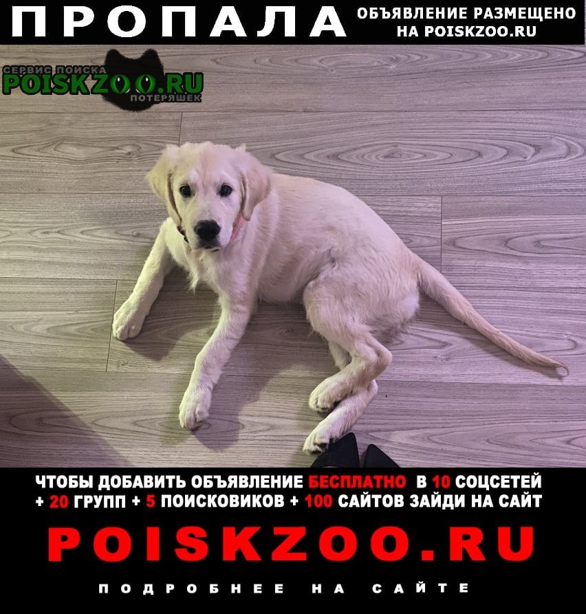 ���� ������� ������