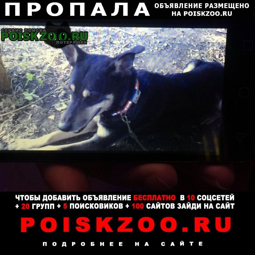 ���� ������� ������ ������