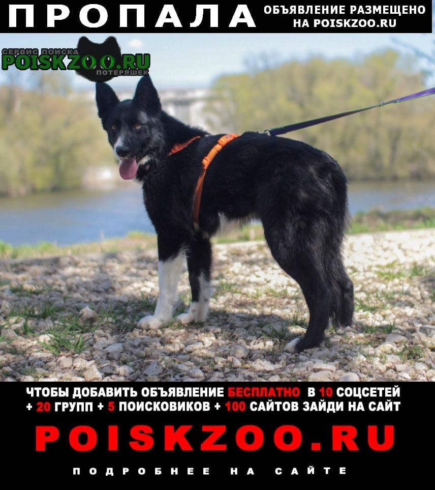 ���� ������� ������ ������, ������ � ��������� ������