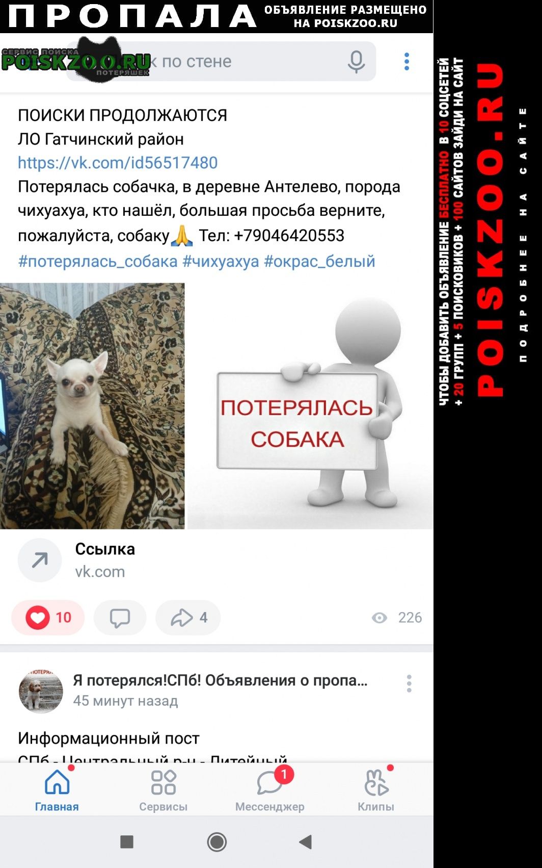 ���� ������� ������ ������