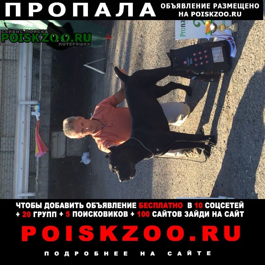 ���� ������� ������ ���� �����