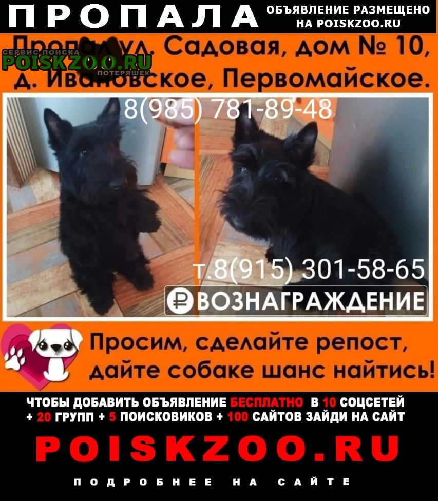 ���� ������� ������ ������ ����� ����� �������