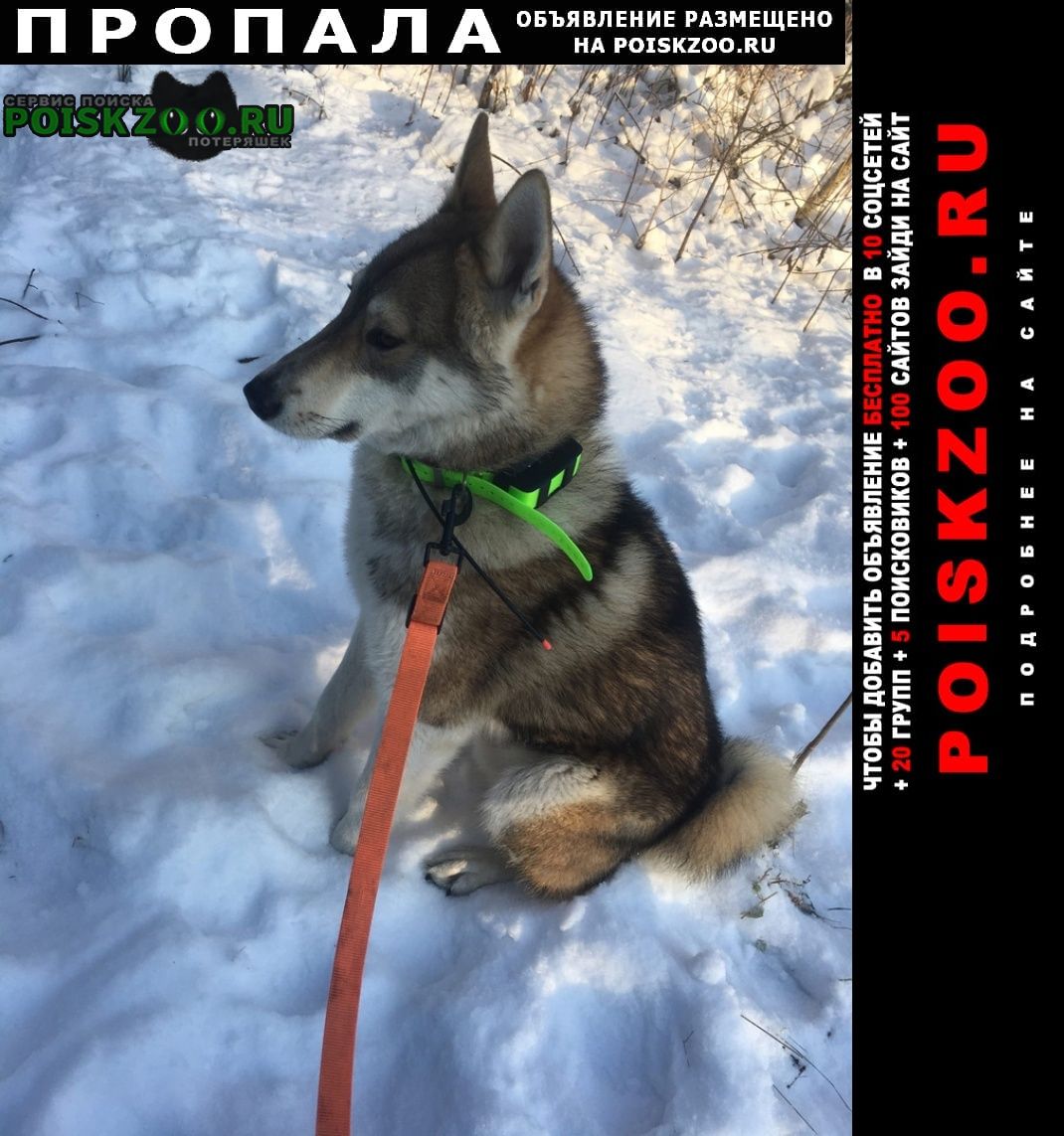 ���� ������� ������ ������ � ����-������� ��������