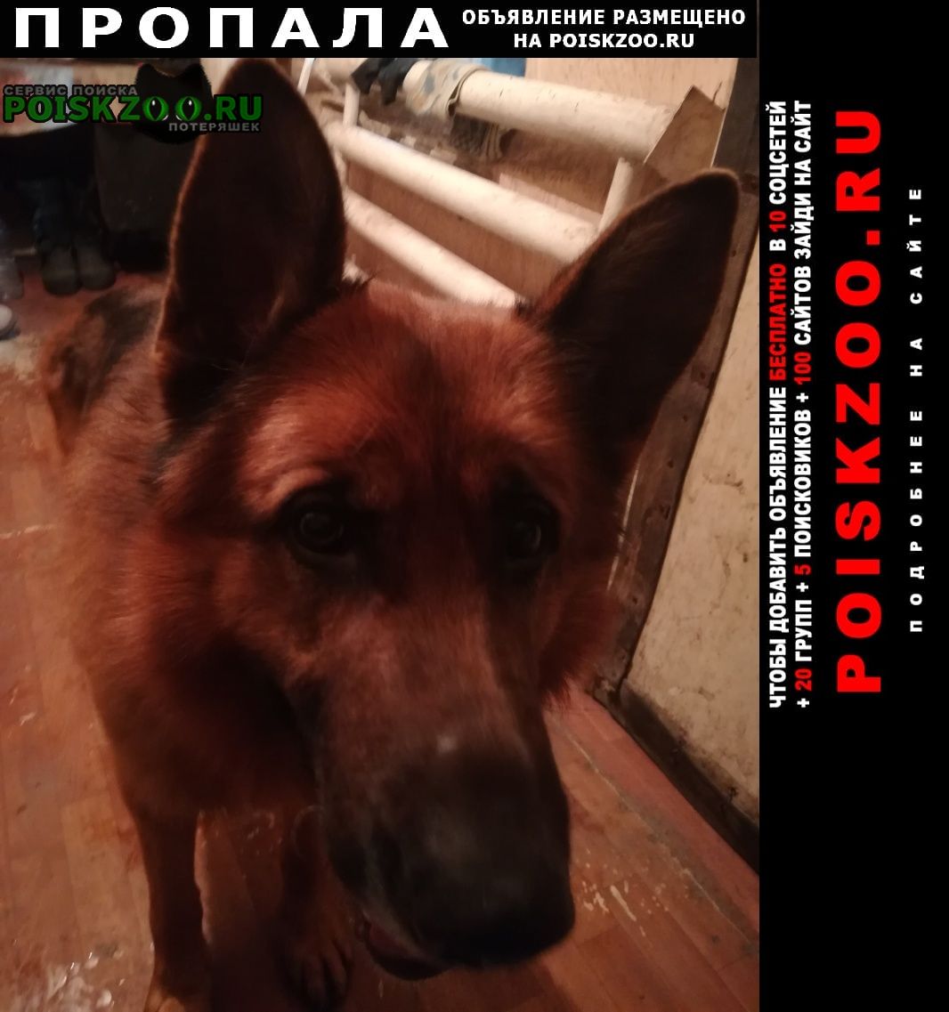 ���� ������� ������ ������ �������� �������