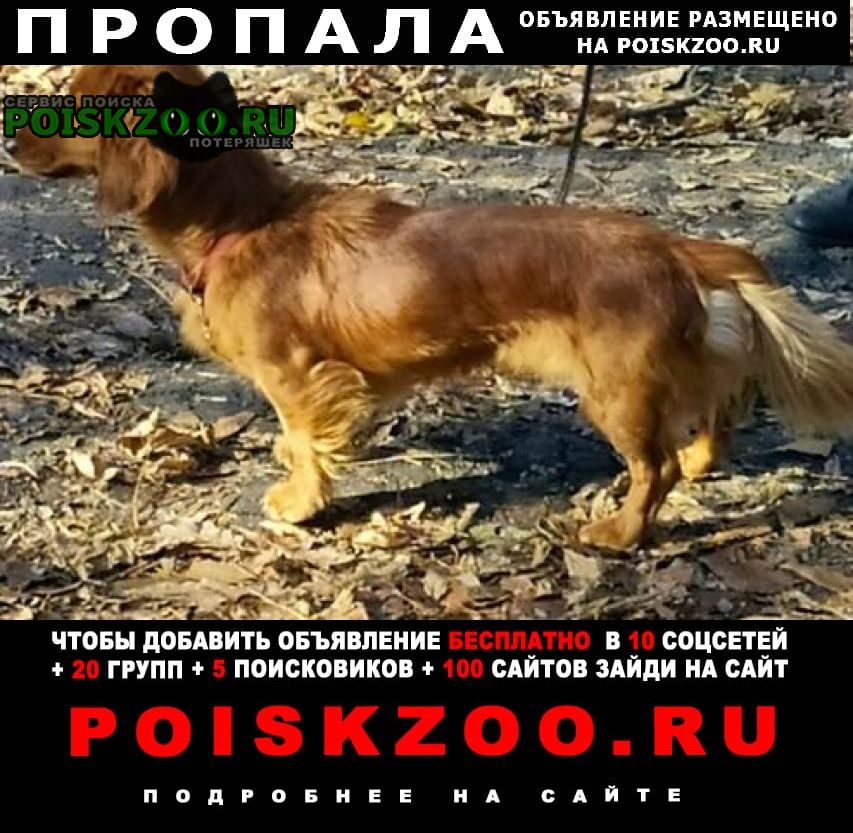 ���� ������� ������ �����