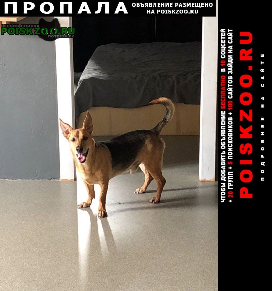 ���� ������� ������ ������ � ������� ��������, ����