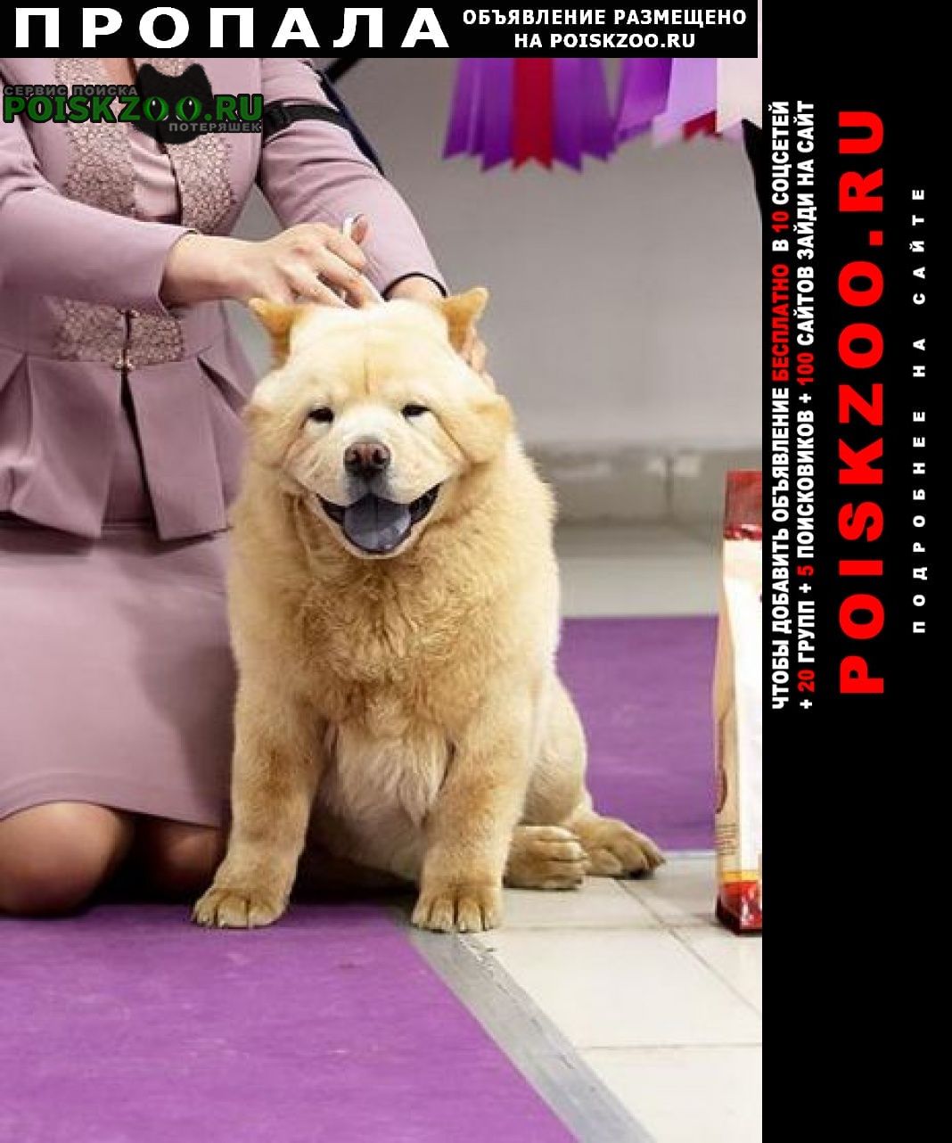 ���� ������� ������ ������ ������, ��� -��� - ������