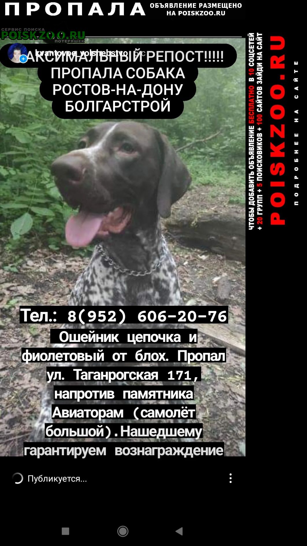 Пропала собака кобель помогите найти макса Ростов-на-Дону