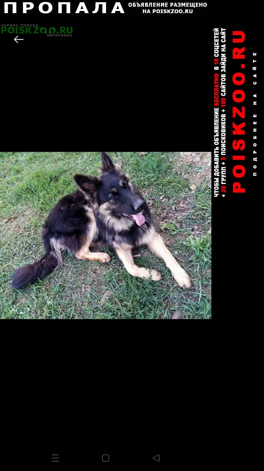 ���� ������� ������ ������