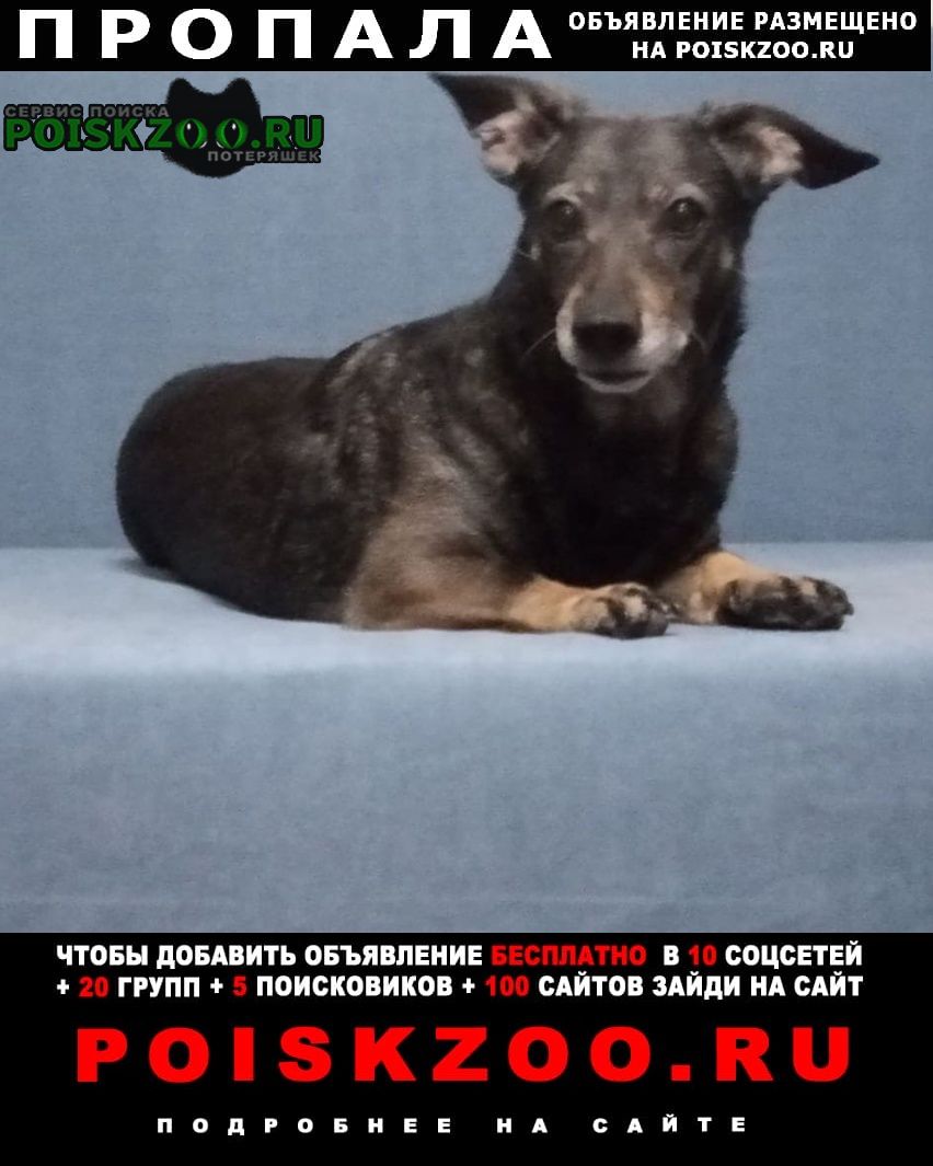 ���� ������� ������ ������������, ������ � �����������