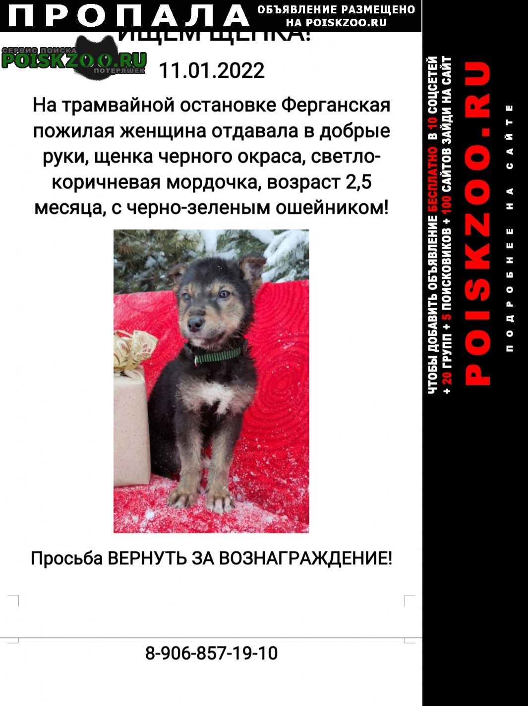Екатеринбург Пропала собака кобель