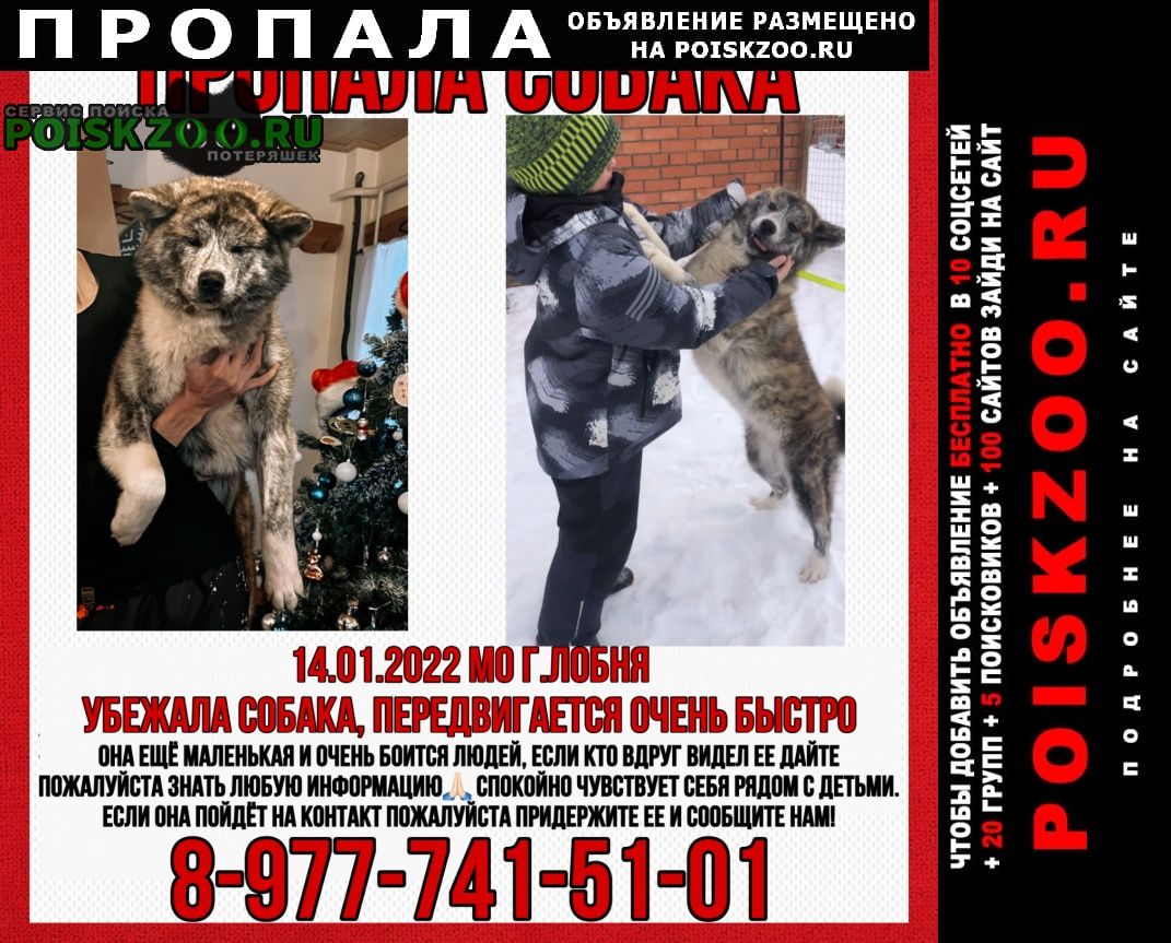 ���� ������� ������