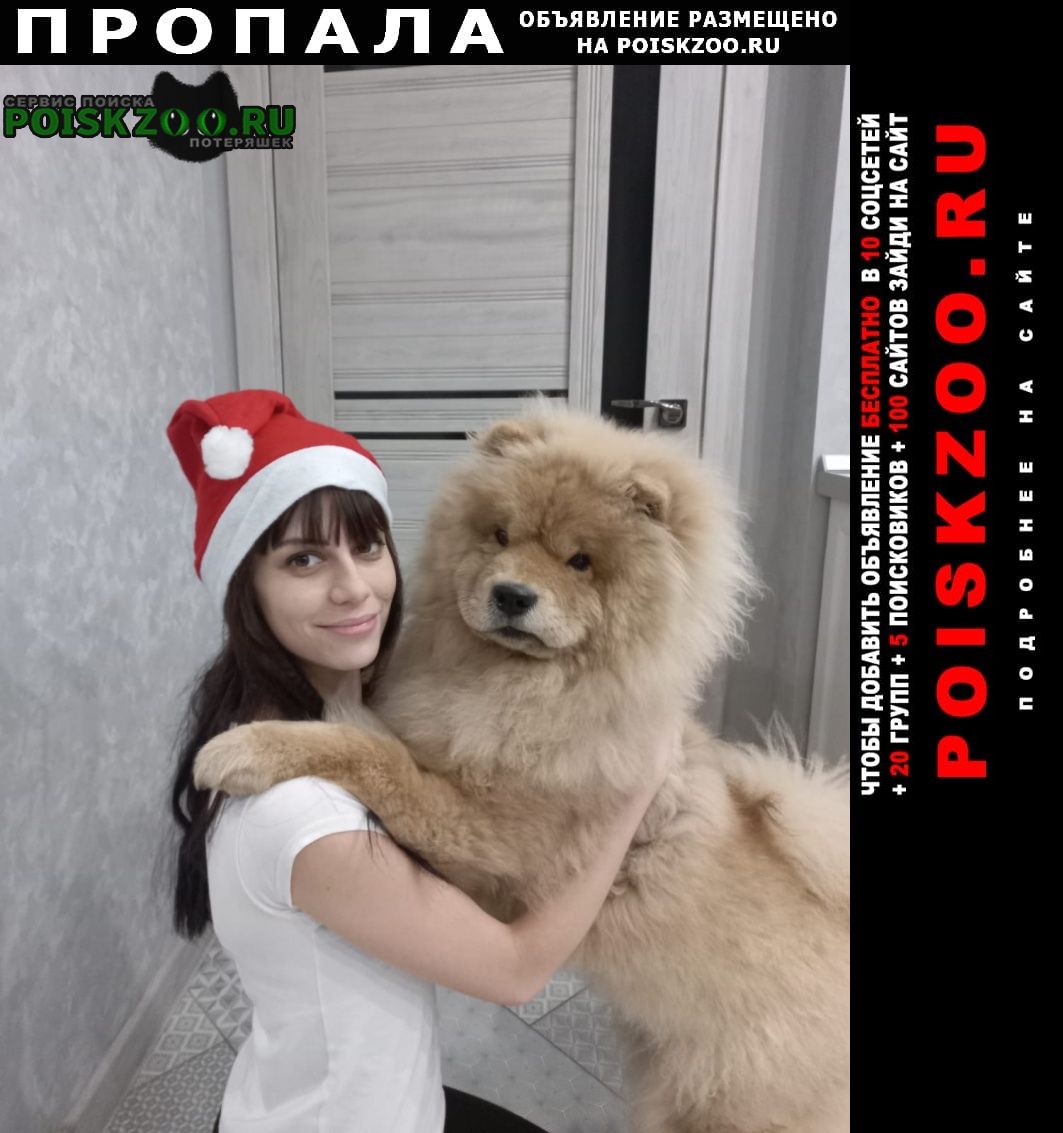 ���� ������� ������ ������������ �������� ����������