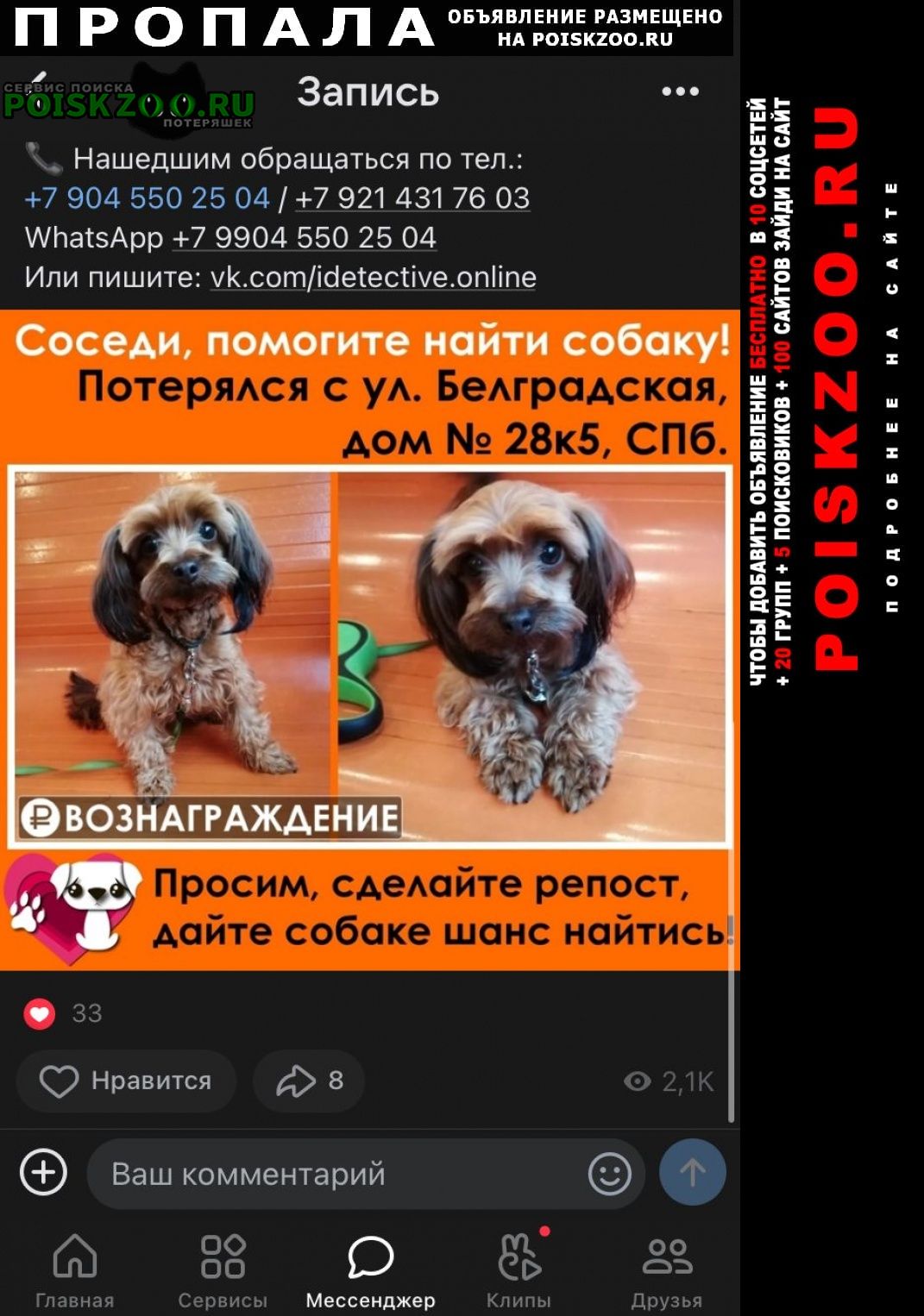 ���� ������� ������ ������ �������� �����