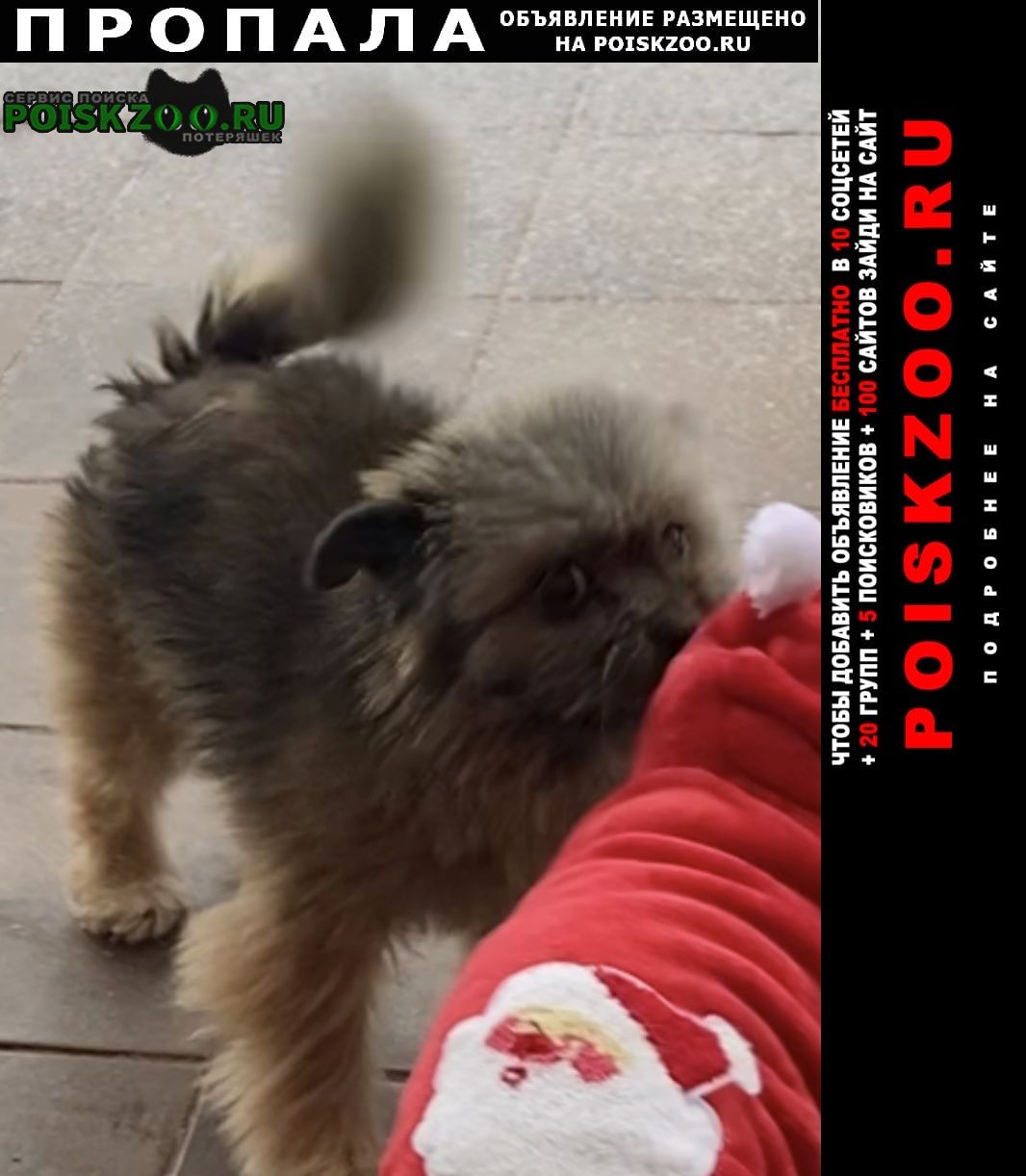 ���� ������� ������ ������