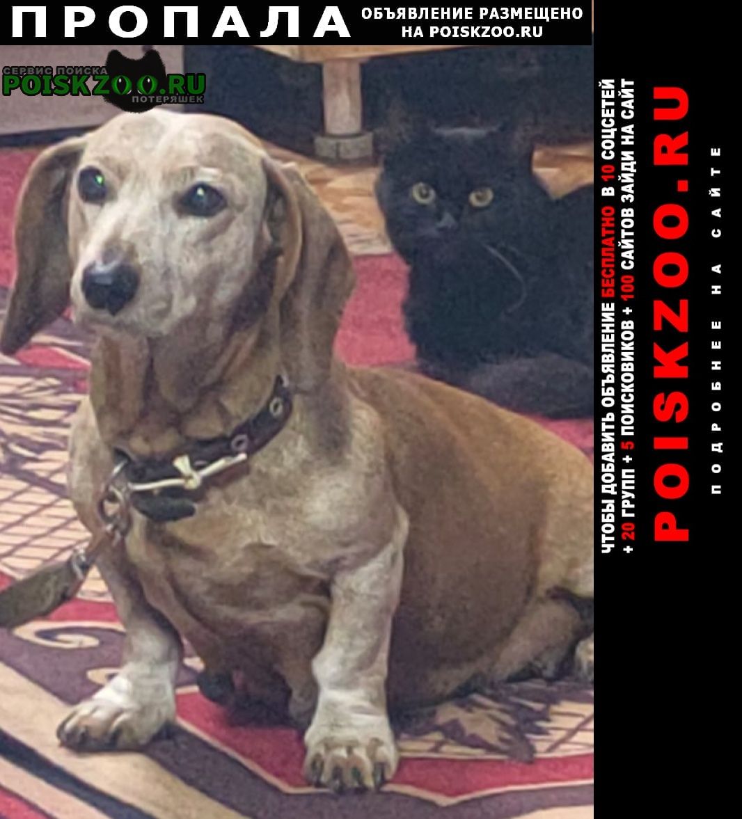 ���� ������� ������ �����