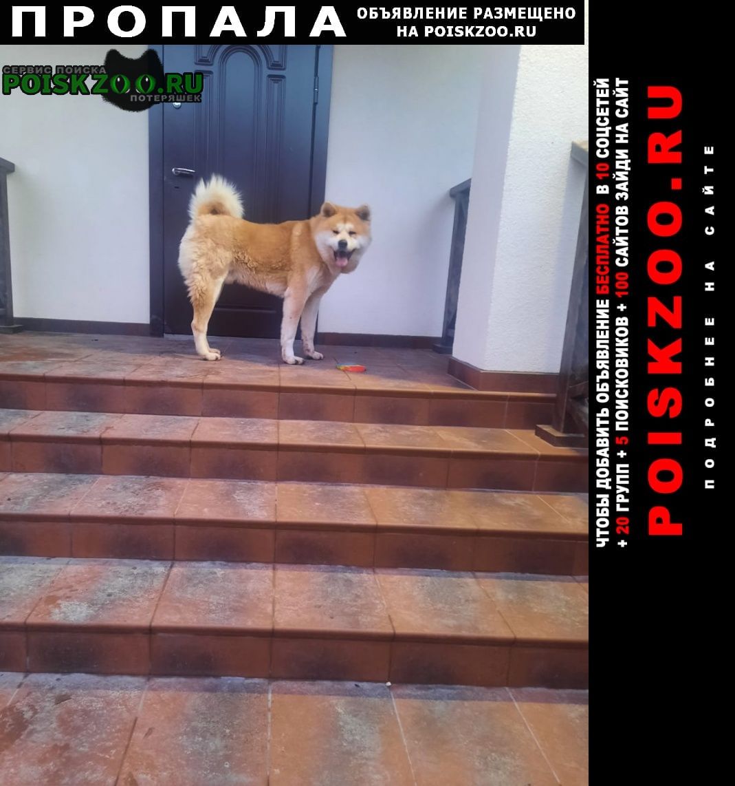 ���� ������� ������ ������