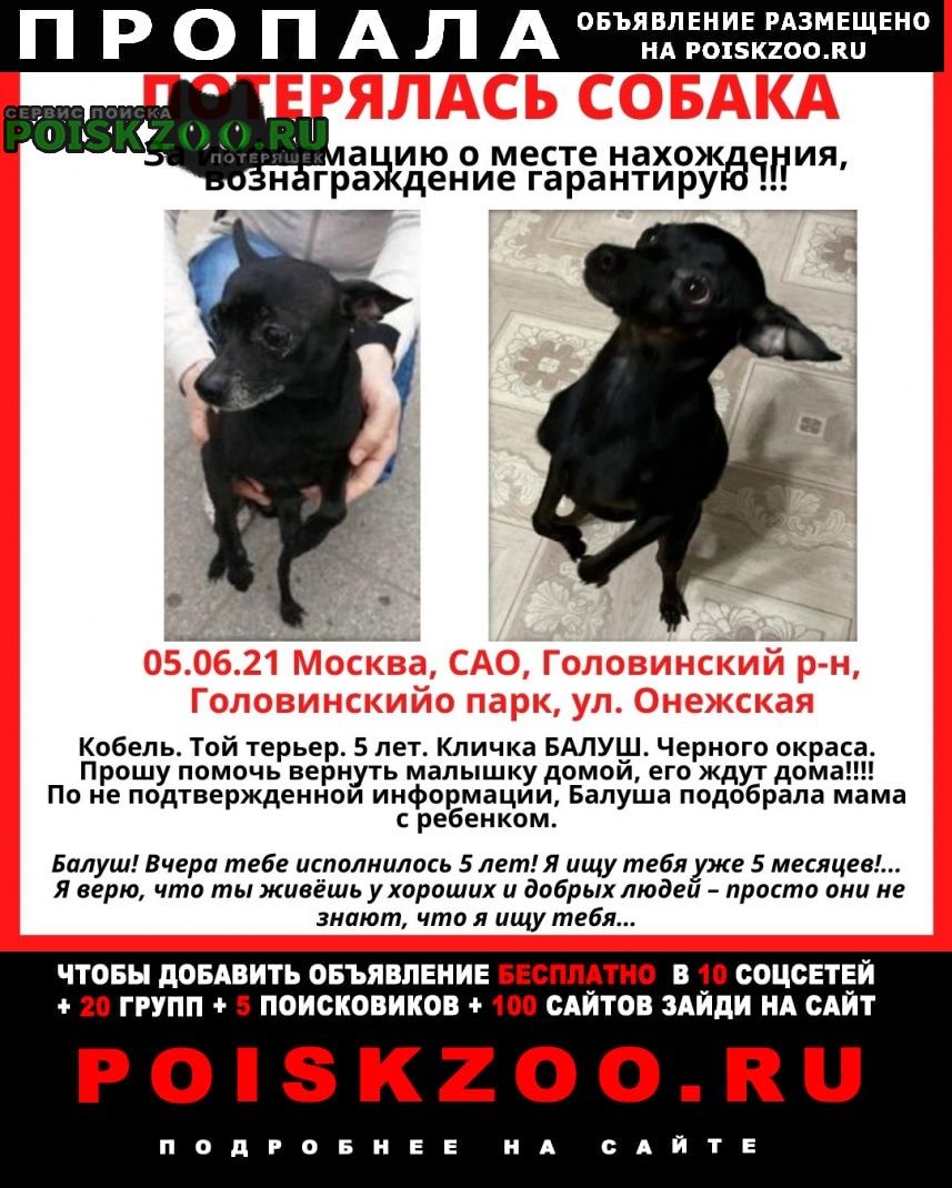 ���� ������� ������ ������ ������ ������������