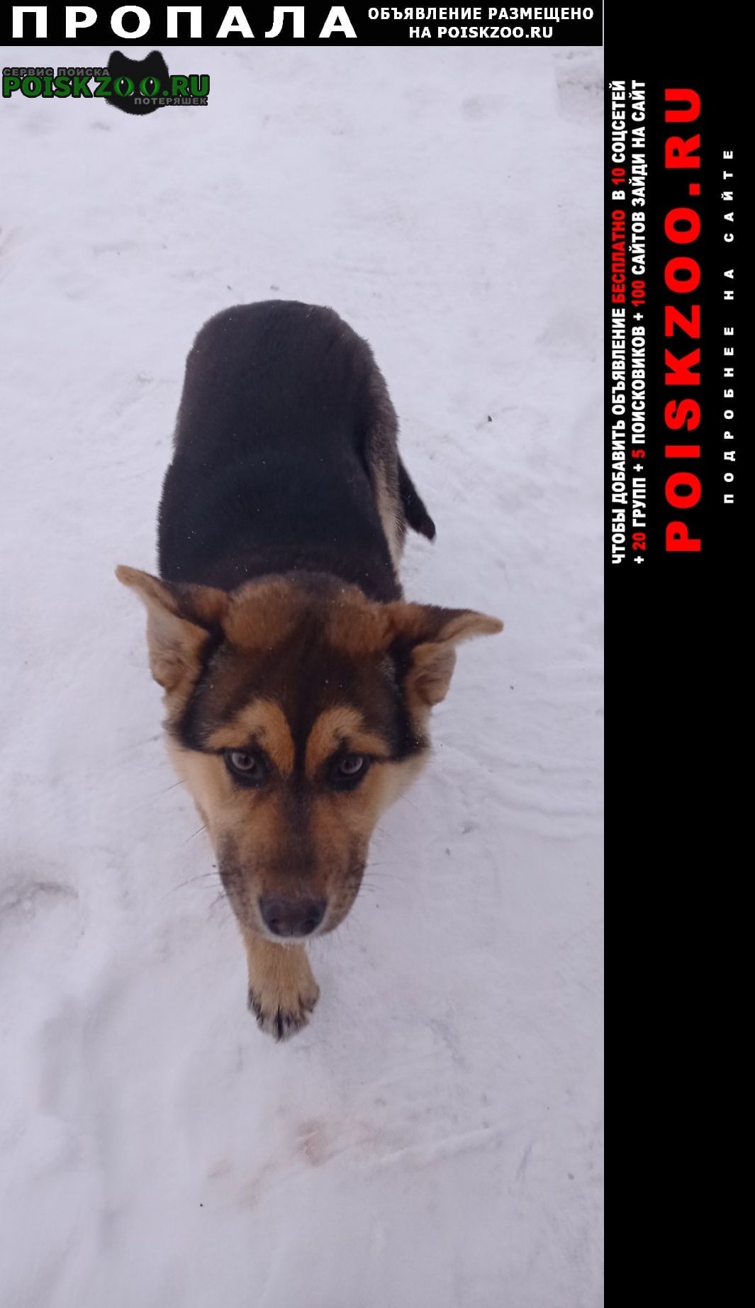 ���� ������� ������