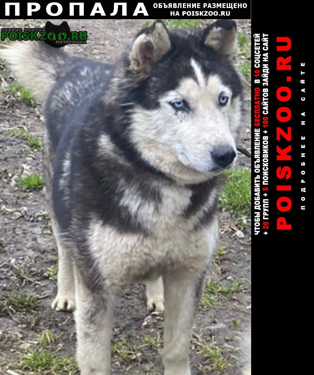 ���� ������� ������ ����� �����