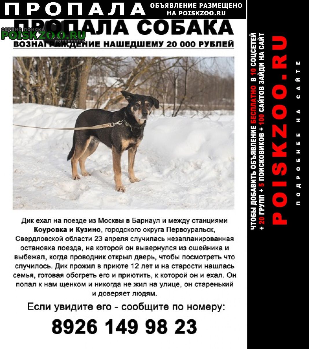 Пропала собака кобель вознаграждение нашедшему Первоуральск