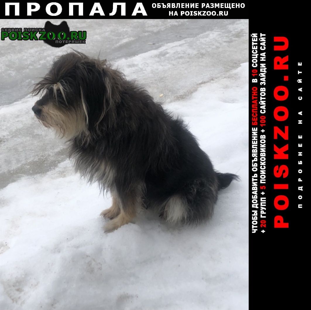 ���� ������� ������ ������