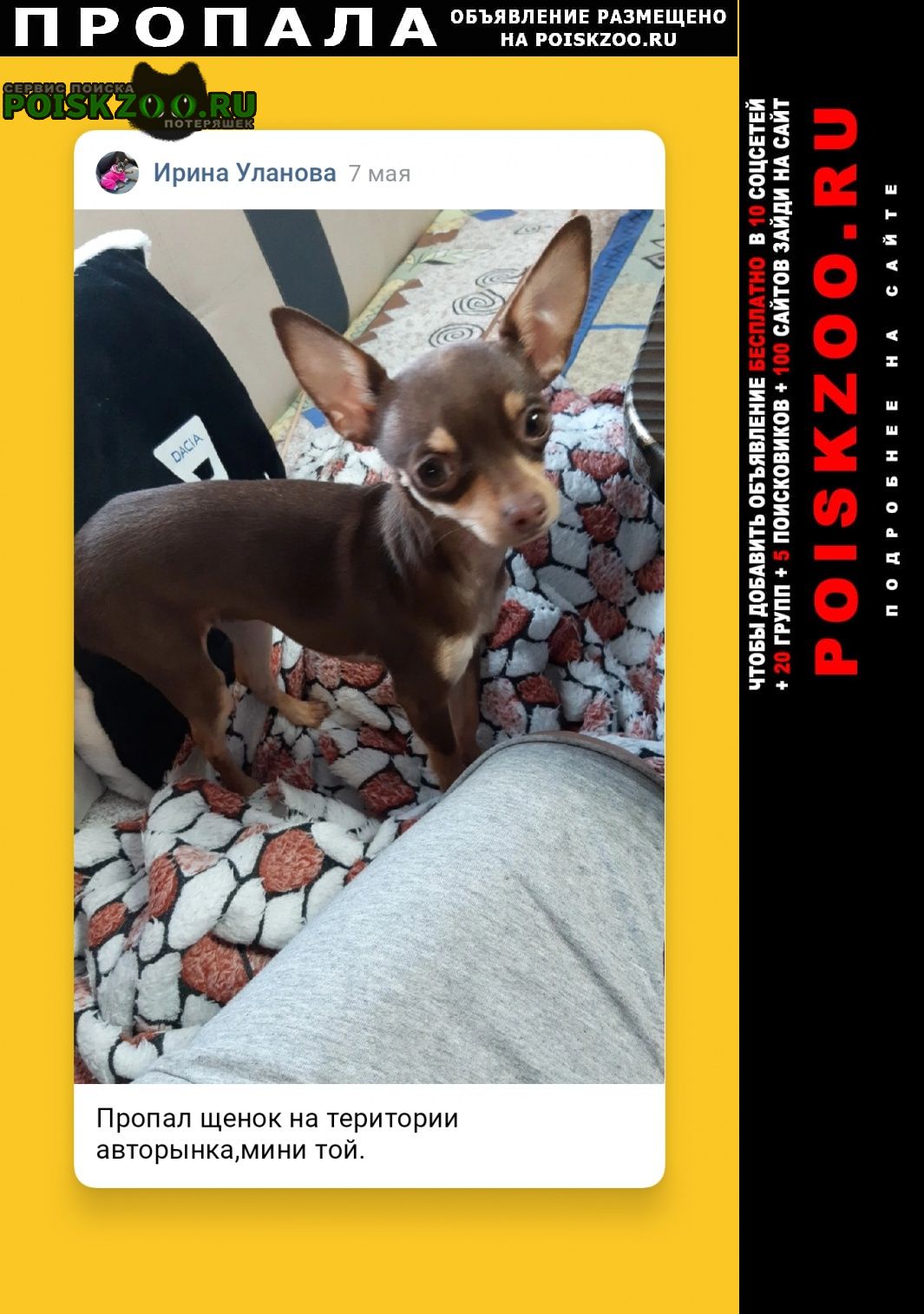 ���� ������� ������ ������ ����� ���� ���, � ����������������