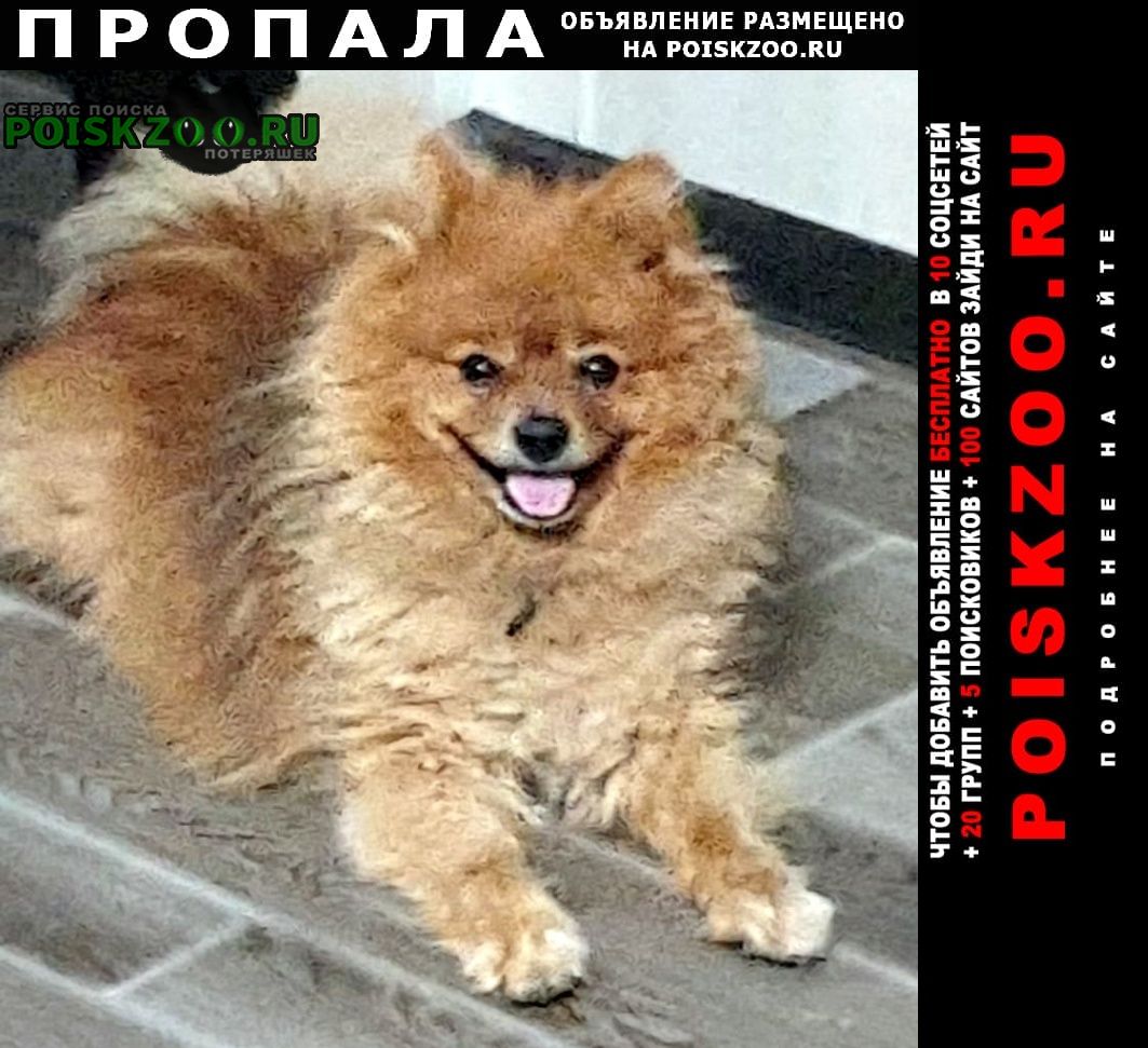 ���� ������� ������ ������ ���� ����� �����