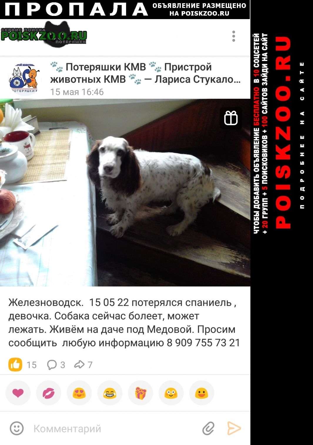 Железноводск(Ставропольский) Пропала собака