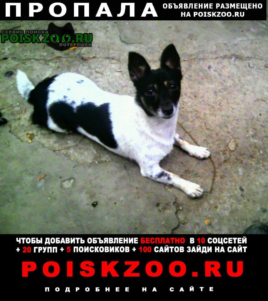 Пропала собака Луганск