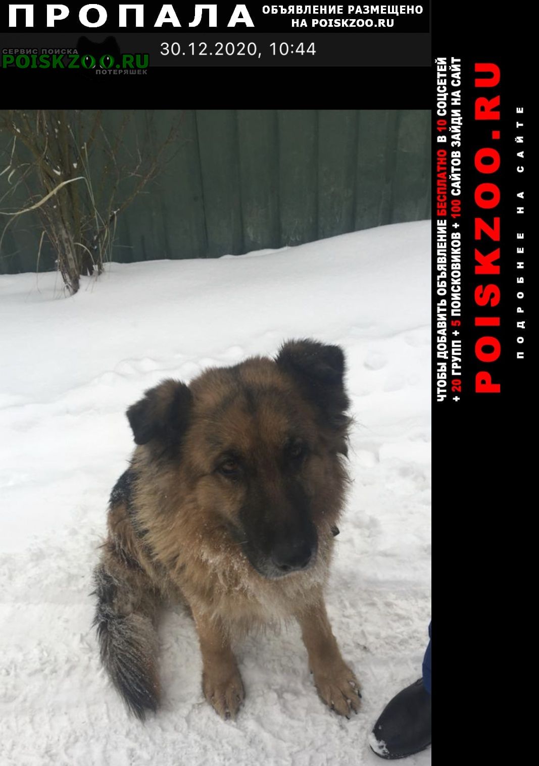 ���� ������� ������ �������� �������