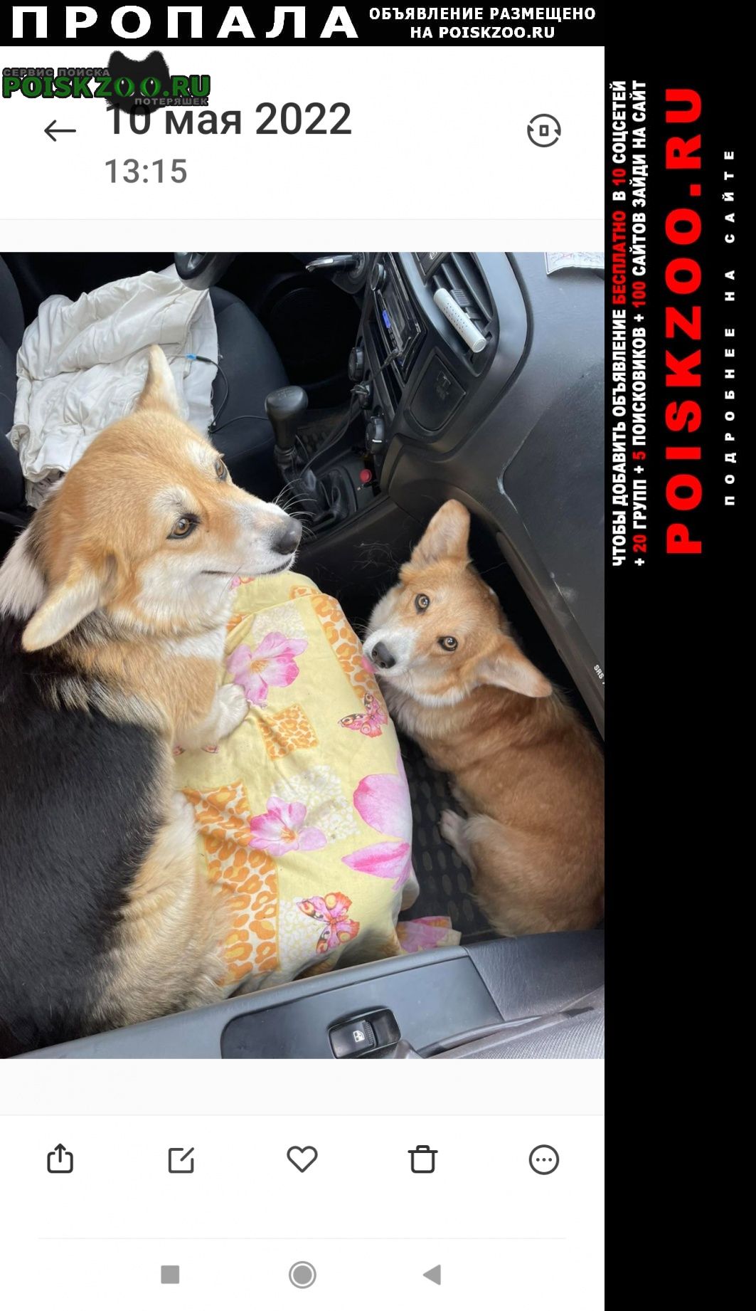 ���� ������� ������