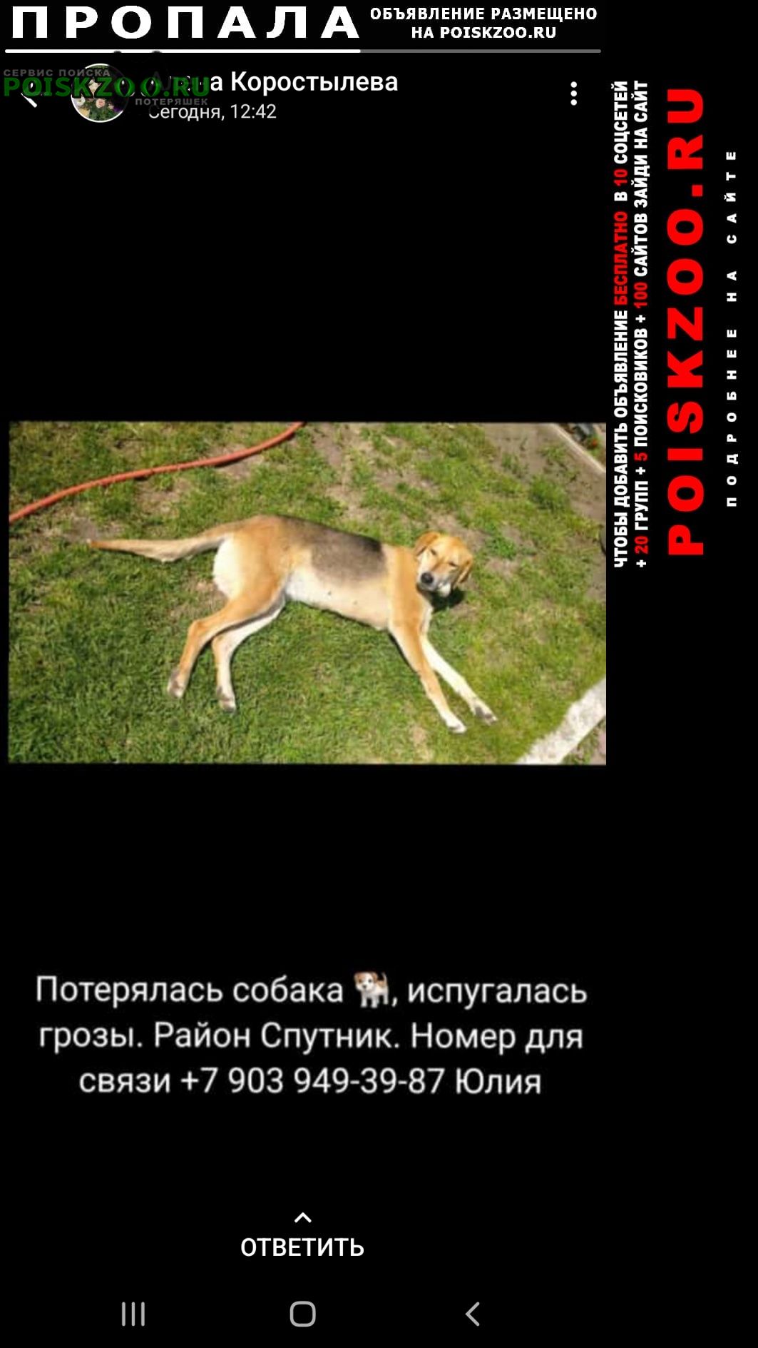 Барнаул Пропала собака русская гончая