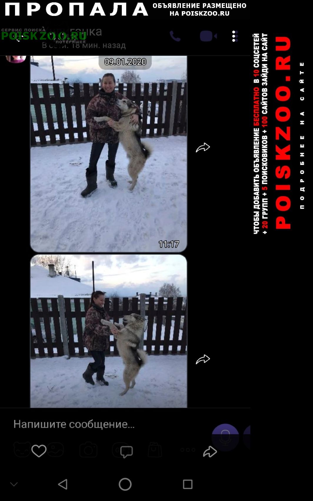 Пропала собака кобель украдена Красноярск