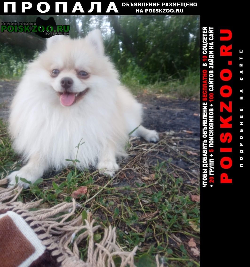 Пропала собака кобель в районе деревни полозовские двор Болхов